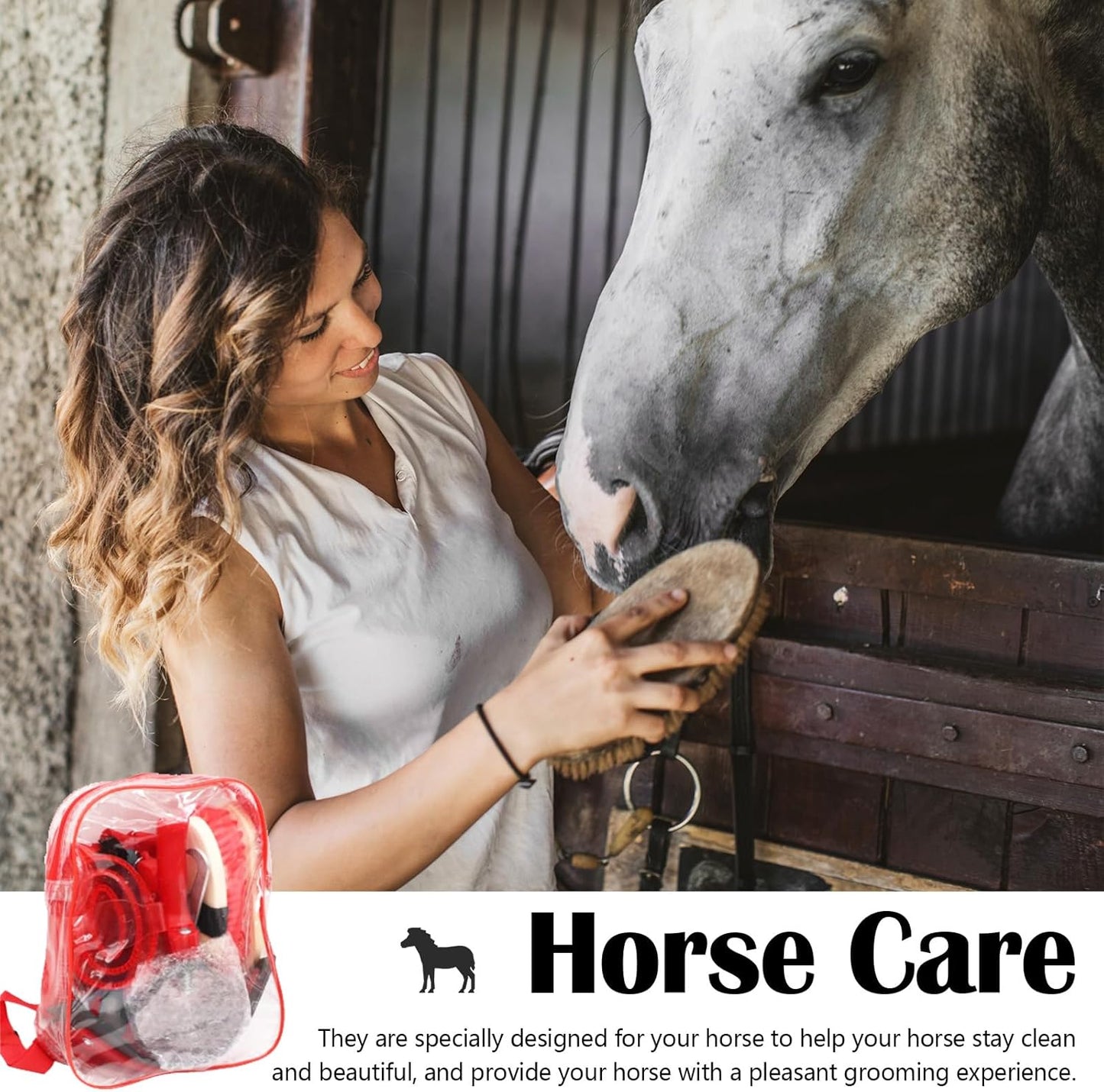 Brosses Pour Chevaux, ensemble 10 Pièces