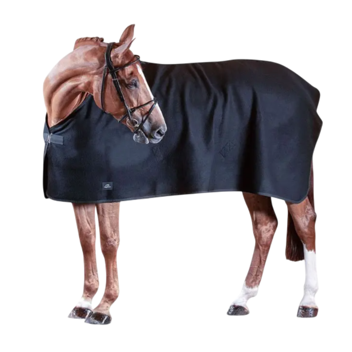 Couverture Laine Equiline Wool