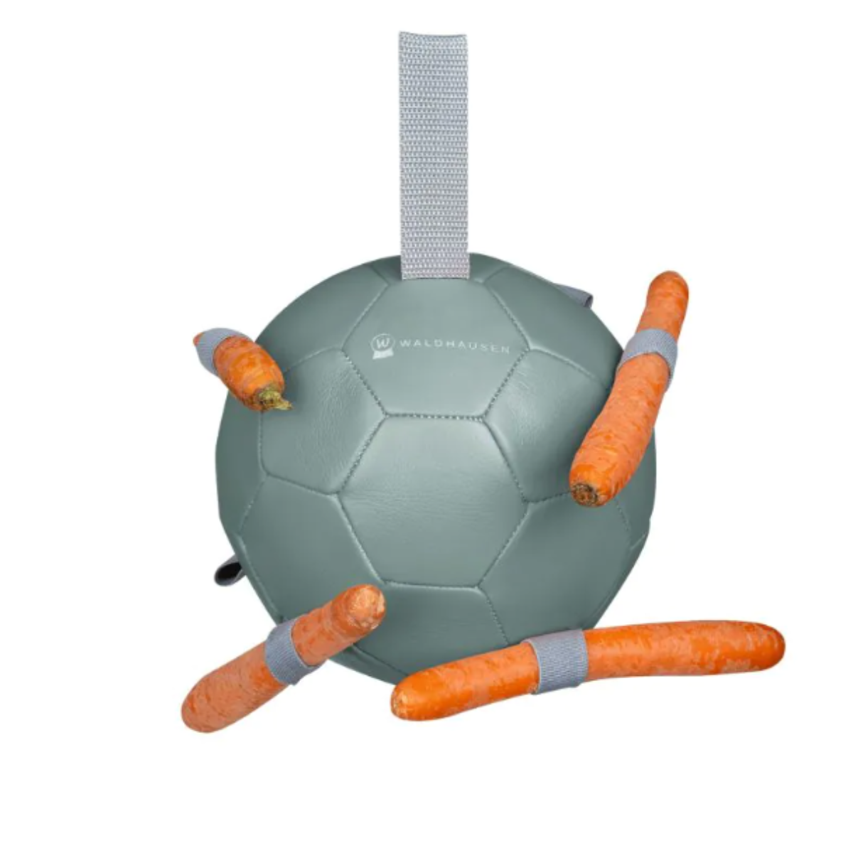 Balle Waldhausen CarrotBall Linnea