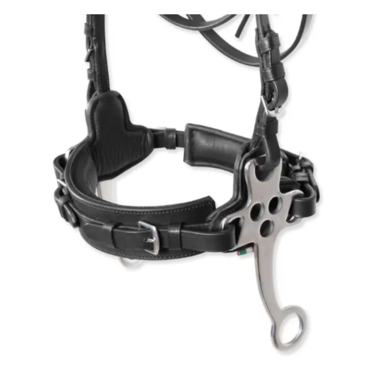 Bride avec Hackamore Horses Hawke