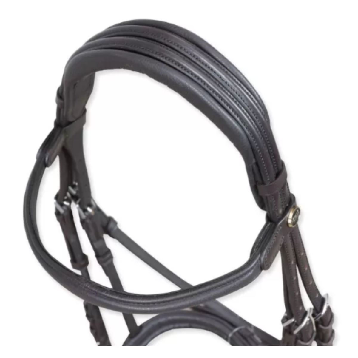 Bride Bombée Horses Arezzo Comfort - Marron