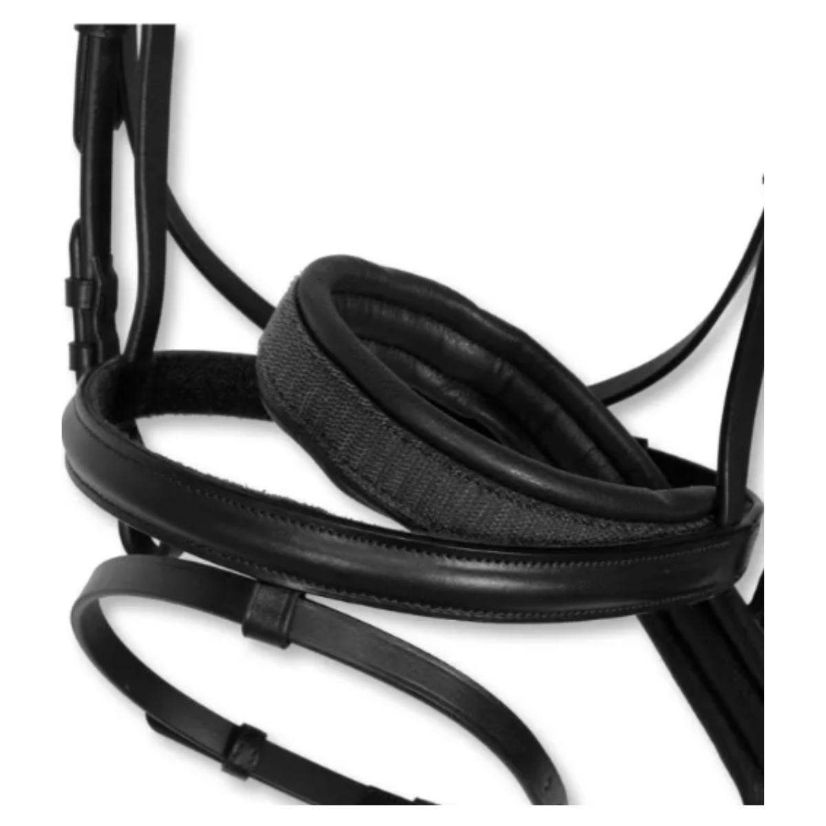 Bride Horses Change Tubinga - Havana