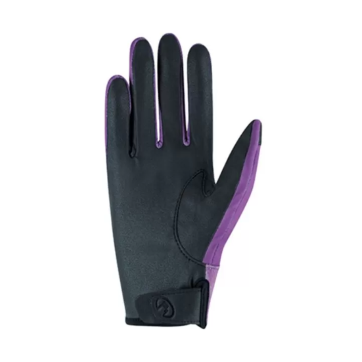 Gants Hiver Roeckl Wing
