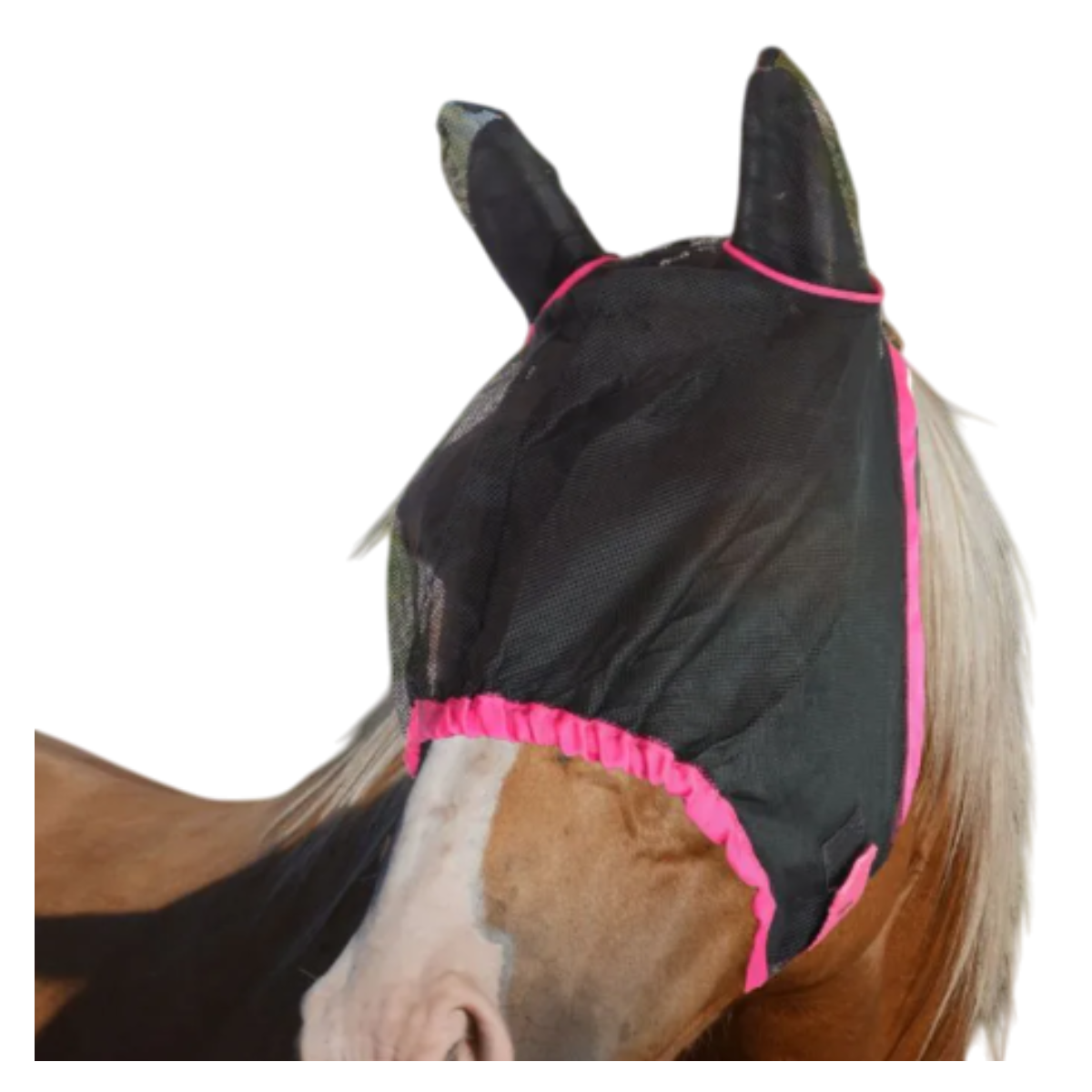 Masque Anti-Mouches Horses Fly Go