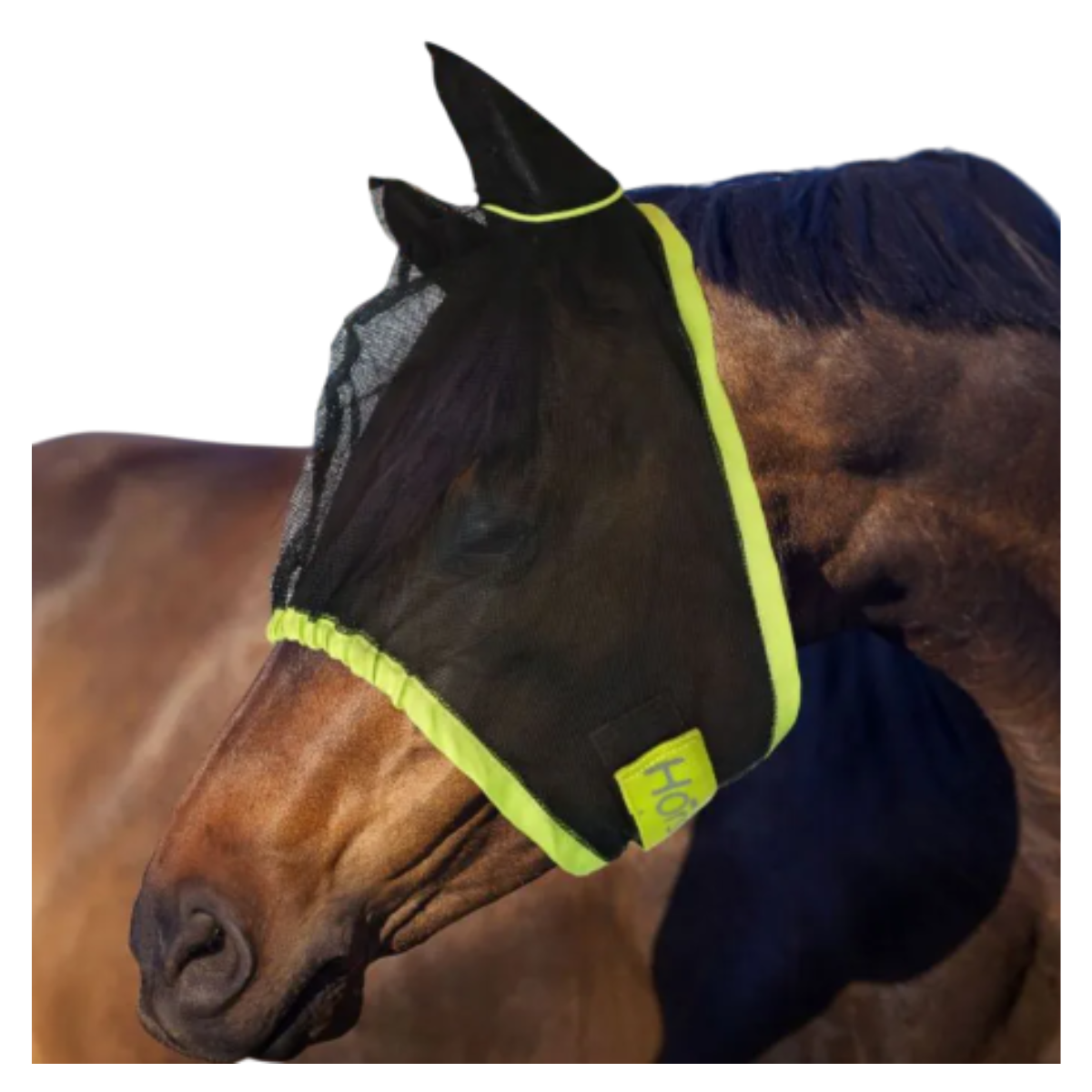Masque Anti-Mouches Horses Fly Go