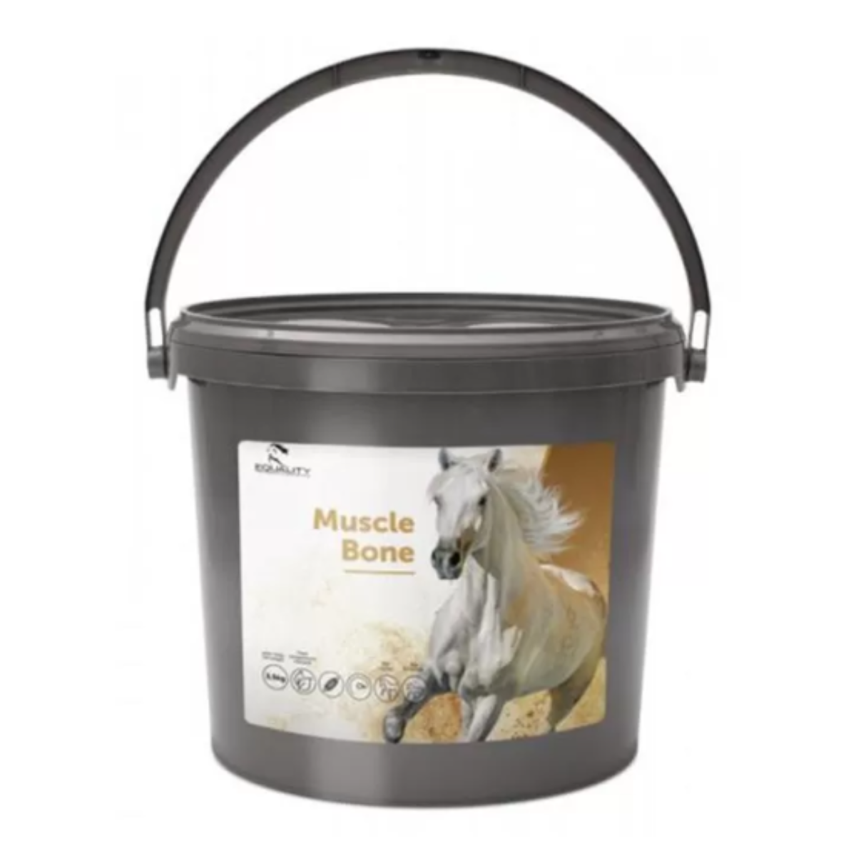 Muscle Bone Equality