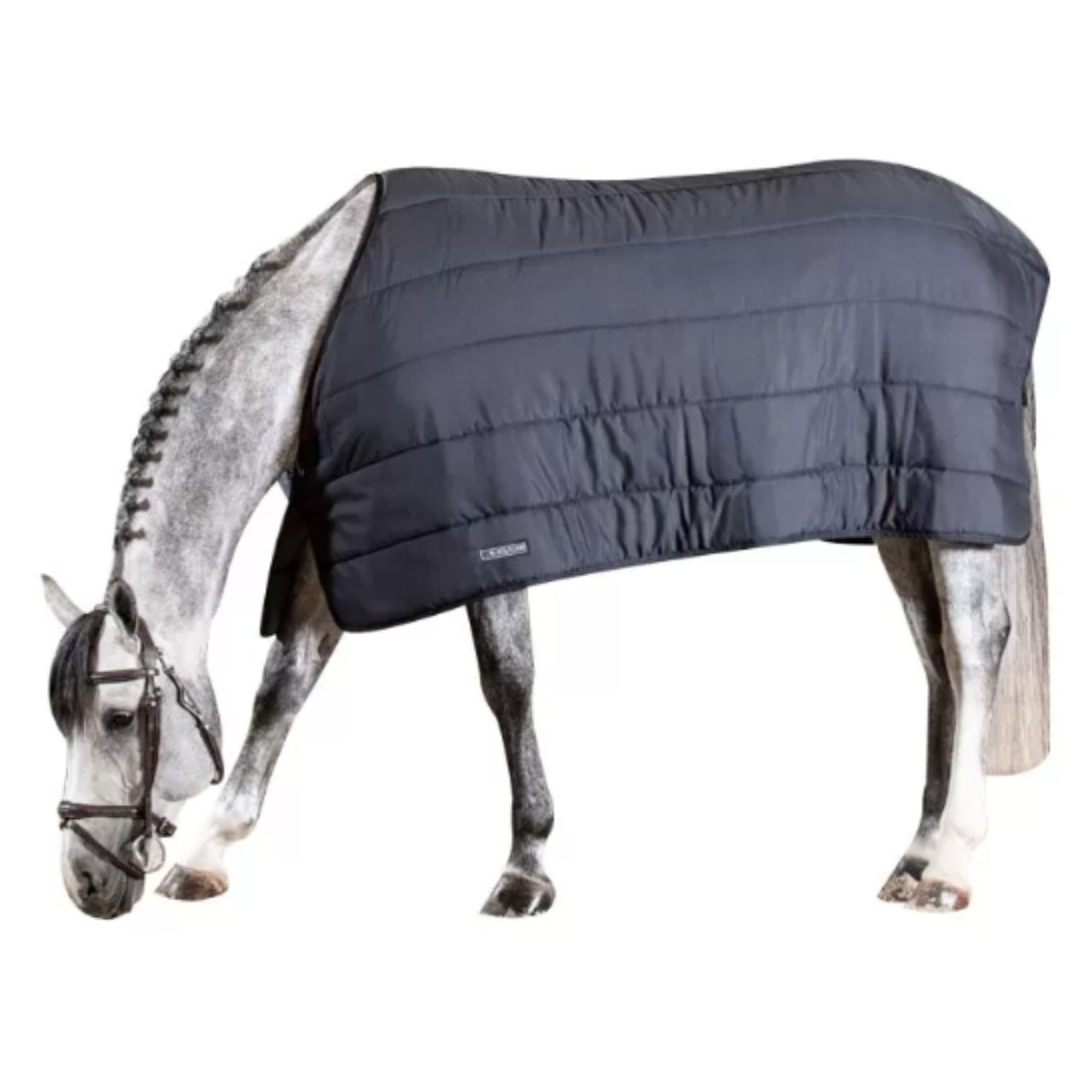 Sous Couverture Equiline Stonehaven 200gr
