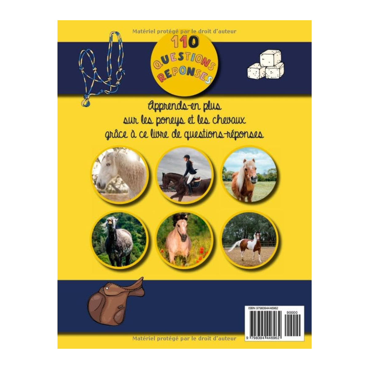 110 questions / réponses sur les chevaux et les poneys