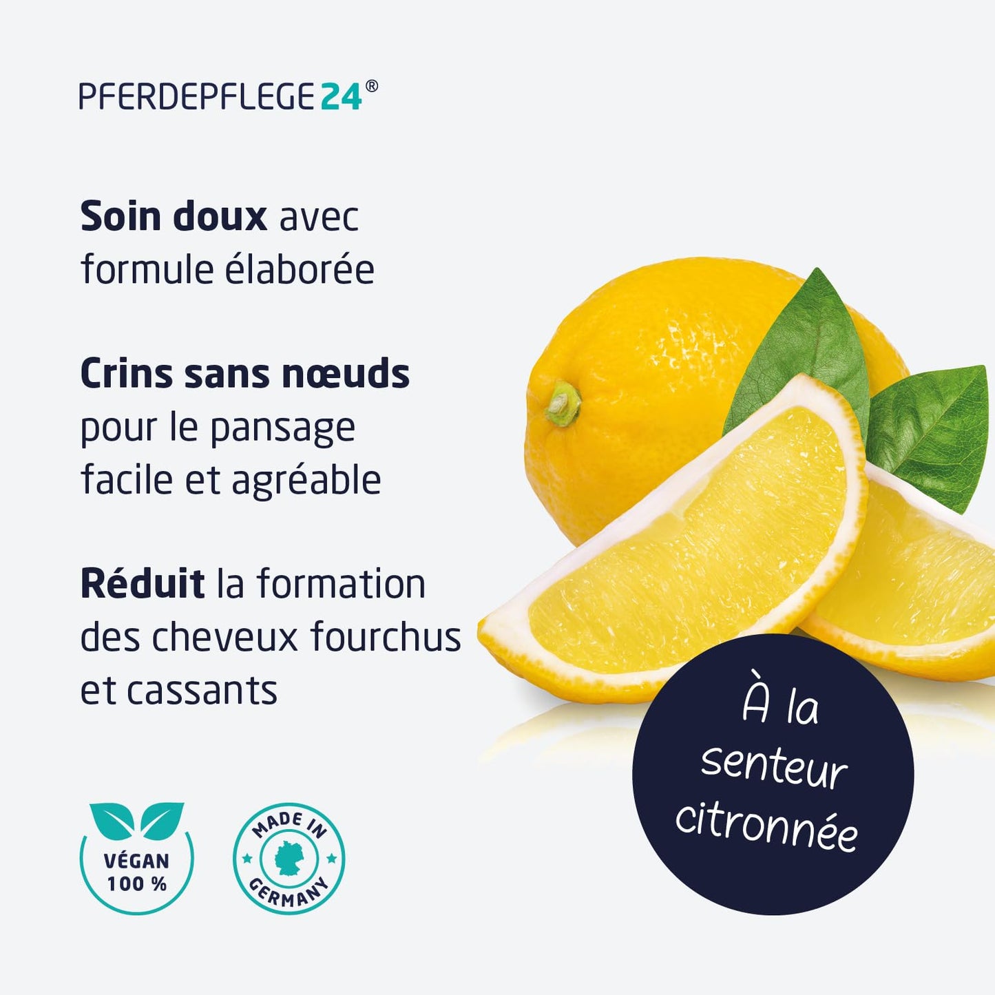 Spray de crins pour Chevaux