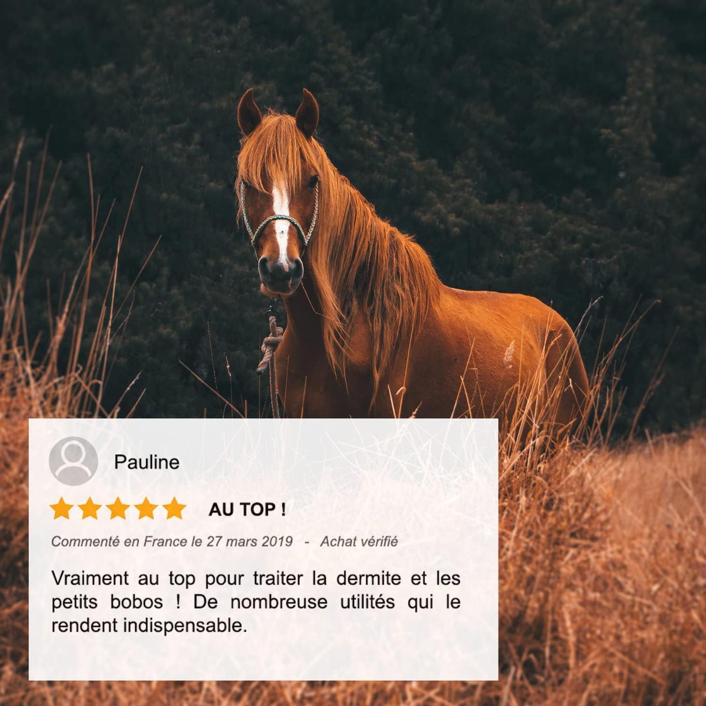 Huile de Cade pour Chevaux - Soin de la Dermite - 100% Fabriquée et Distillée en France