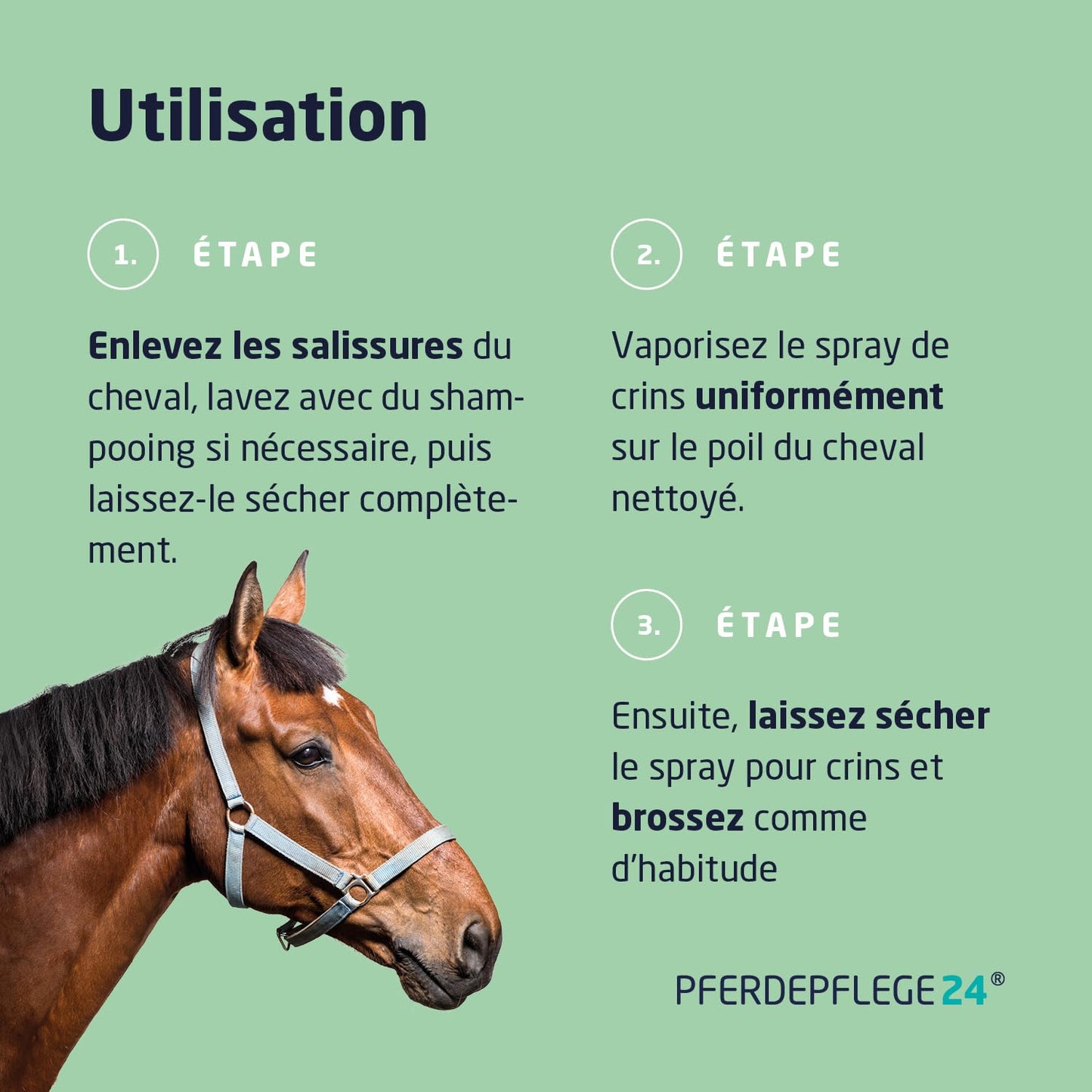 Spray de crins pour Chevaux