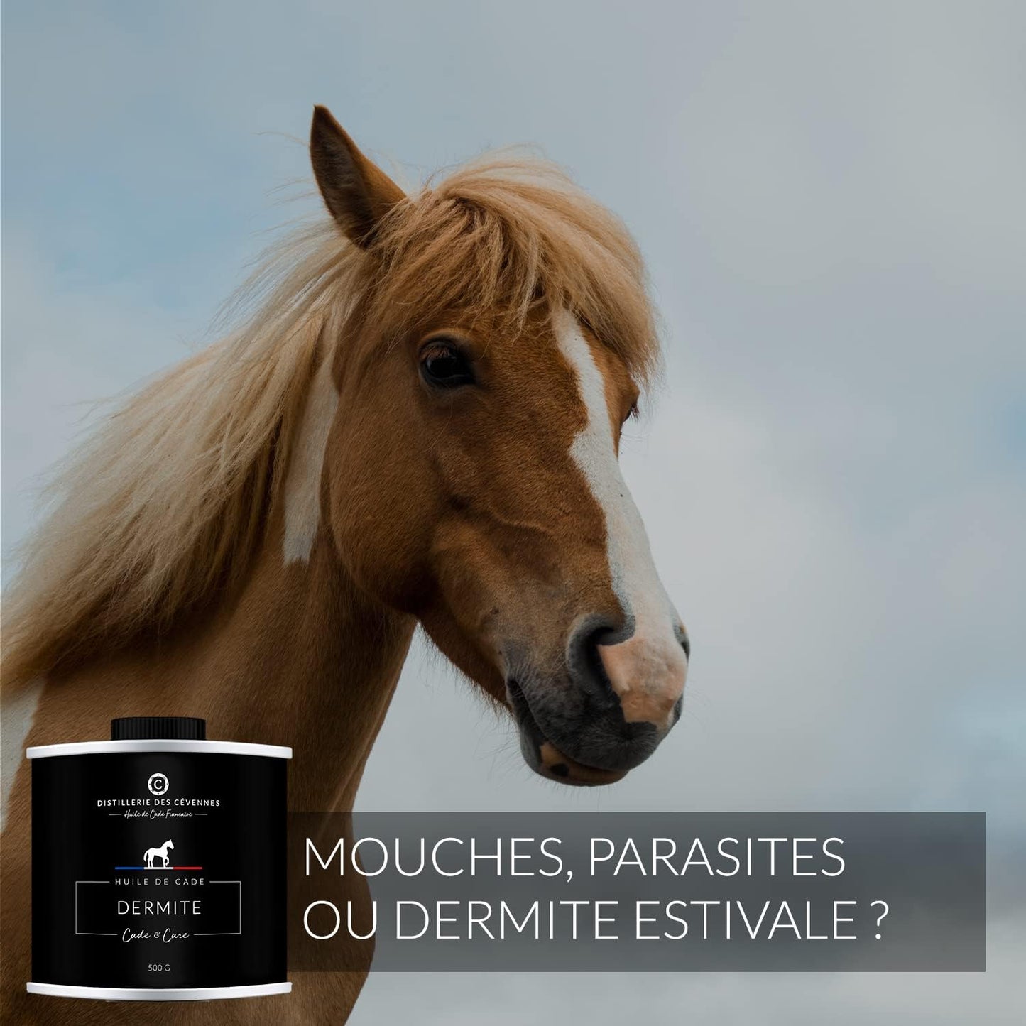 Huile de Cade pour Chevaux - Soin de la Dermite - 100% Fabriquée et Distillée en France