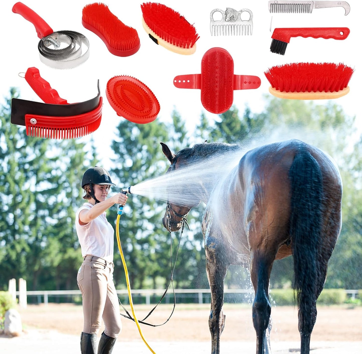 Brosses Pour Chevaux, ensemble 10 Pièces
