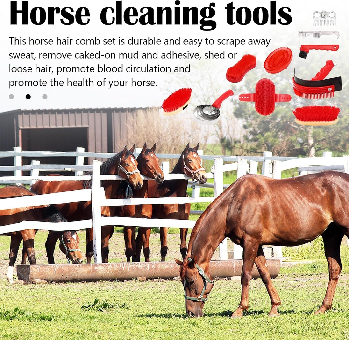 Brosses Pour Chevaux, ensemble 10 Pièces