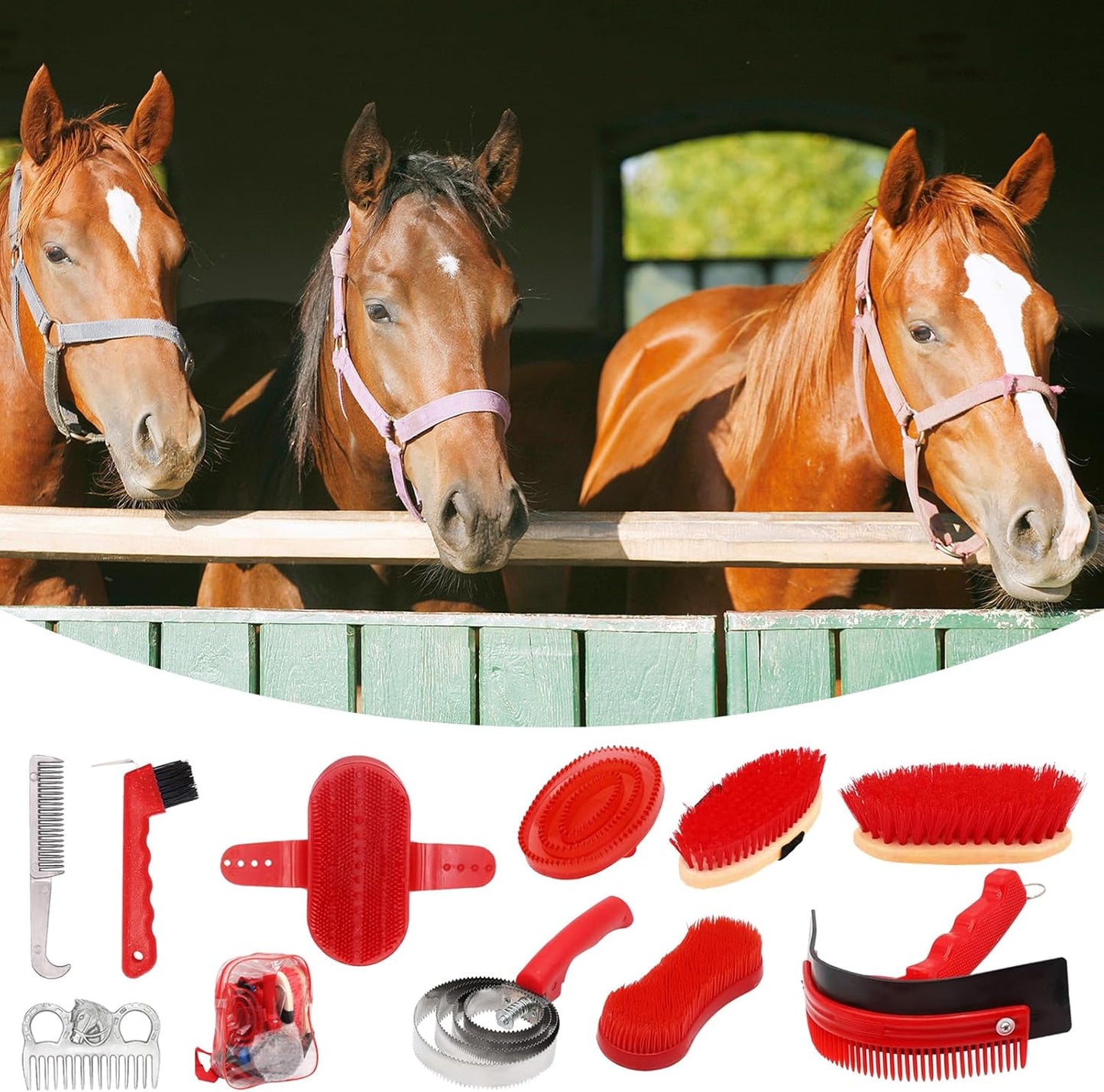 Brosses Pour Chevaux, ensemble 10 Pièces