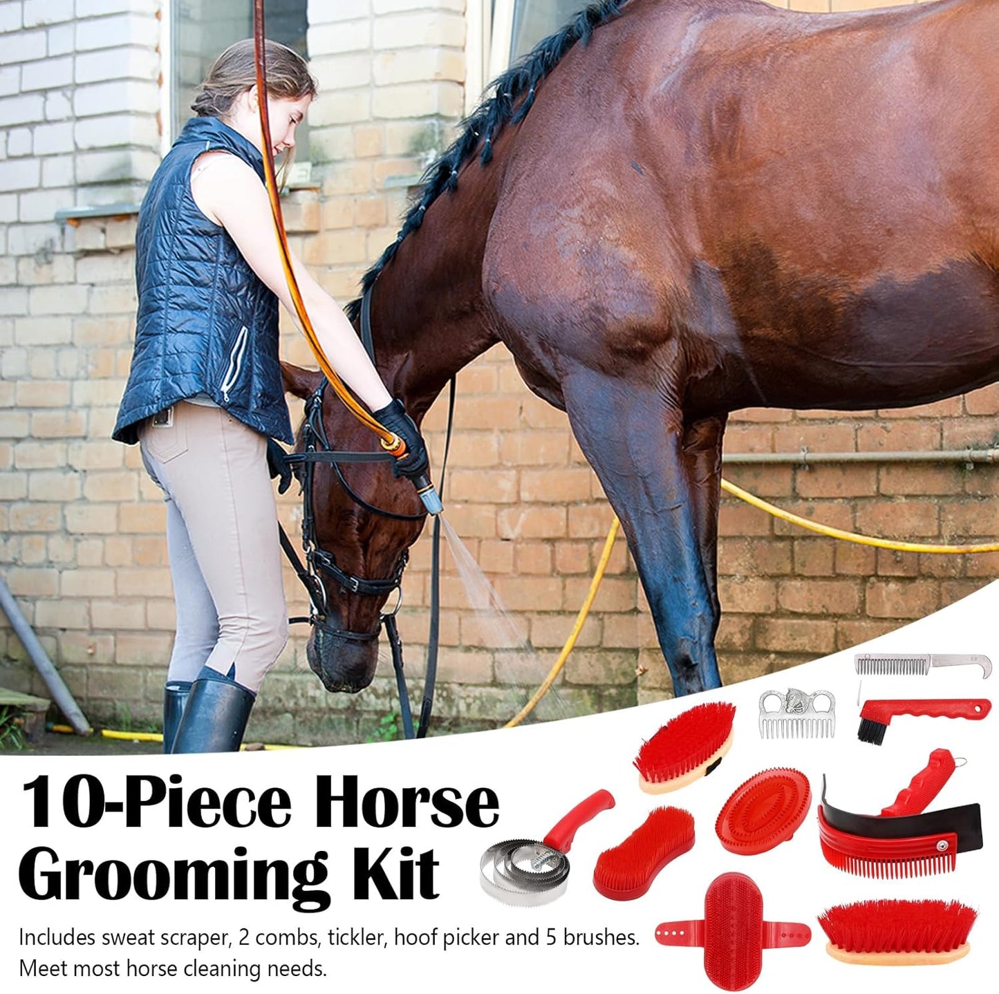 Brosses Pour Chevaux, ensemble 10 Pièces
