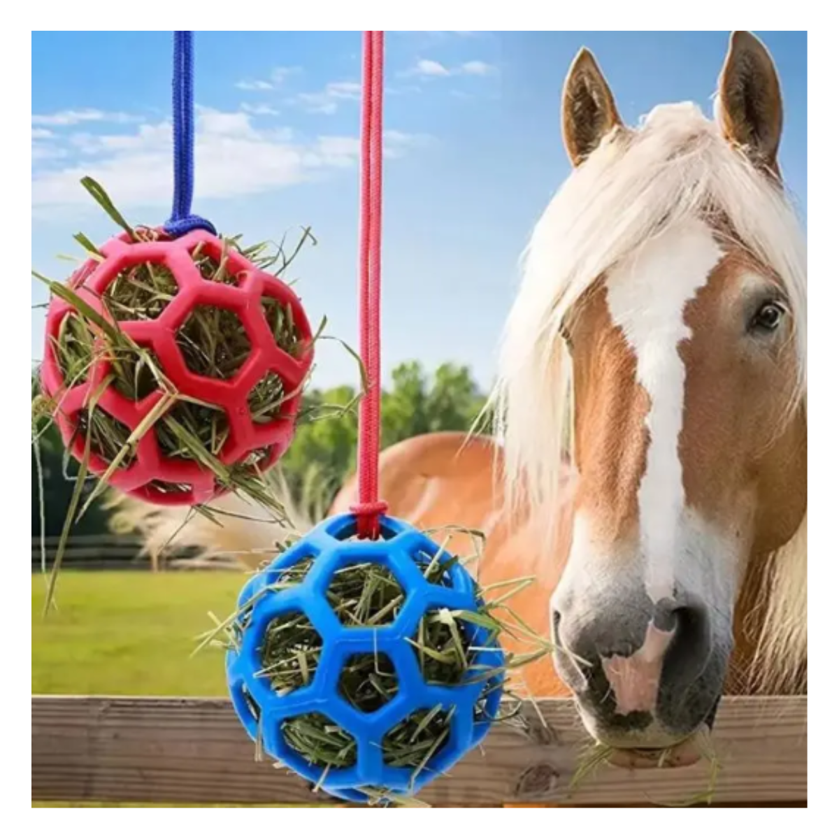 Balle de Foin molle pour Chevaux