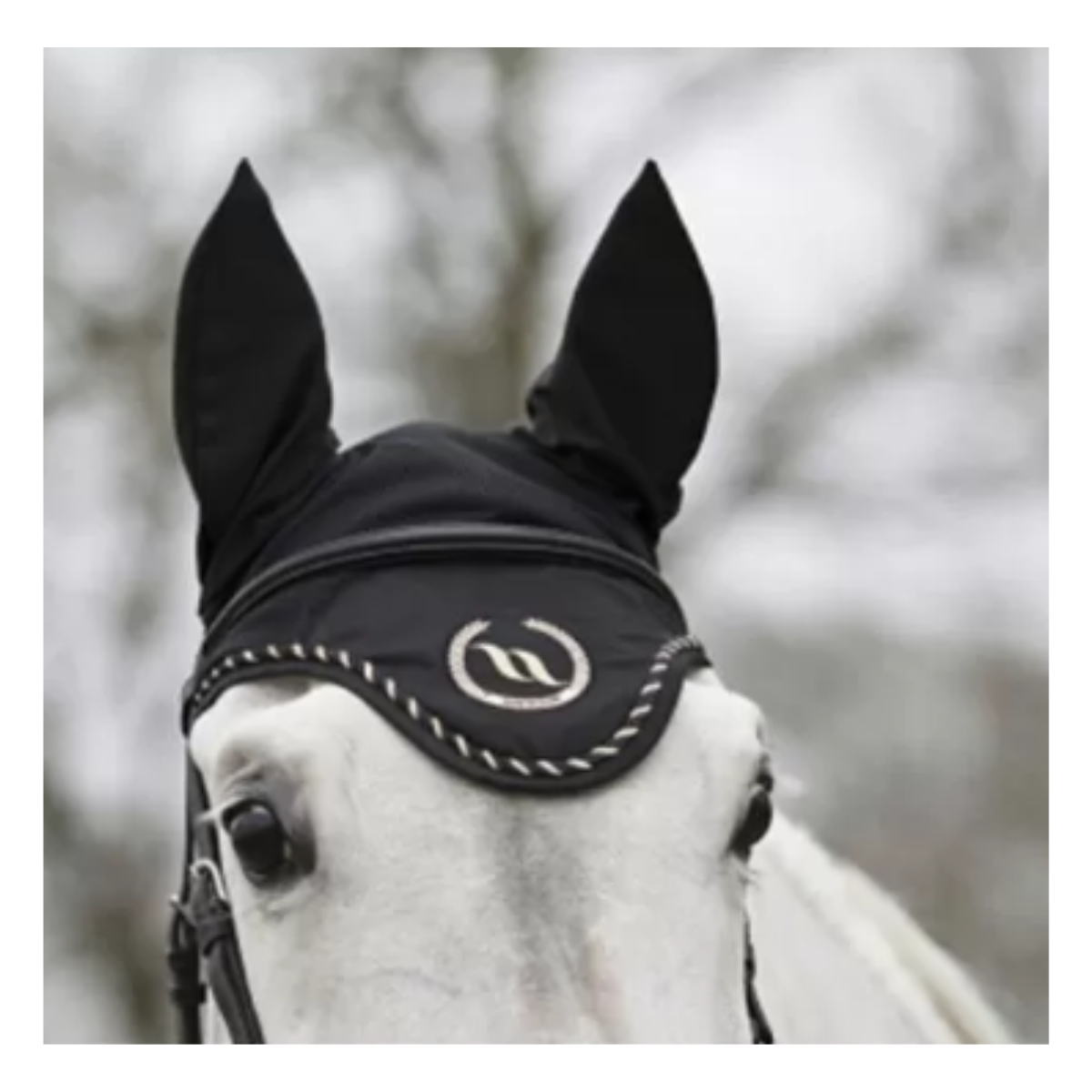 Bonnet Back on Track con Welltex