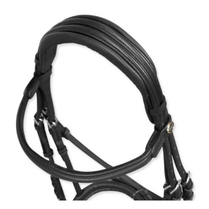 Bride Bombée Horses Arezzo Comfort - Noir