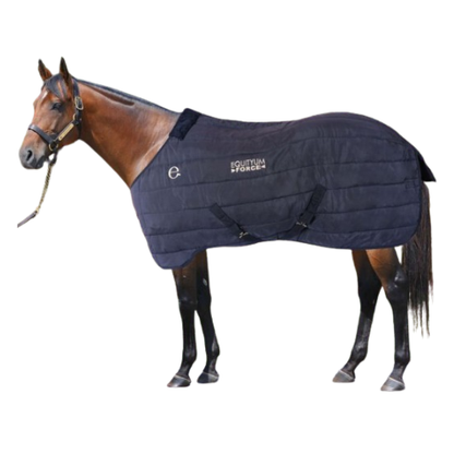 Couverture de Box Equityum Force 350g