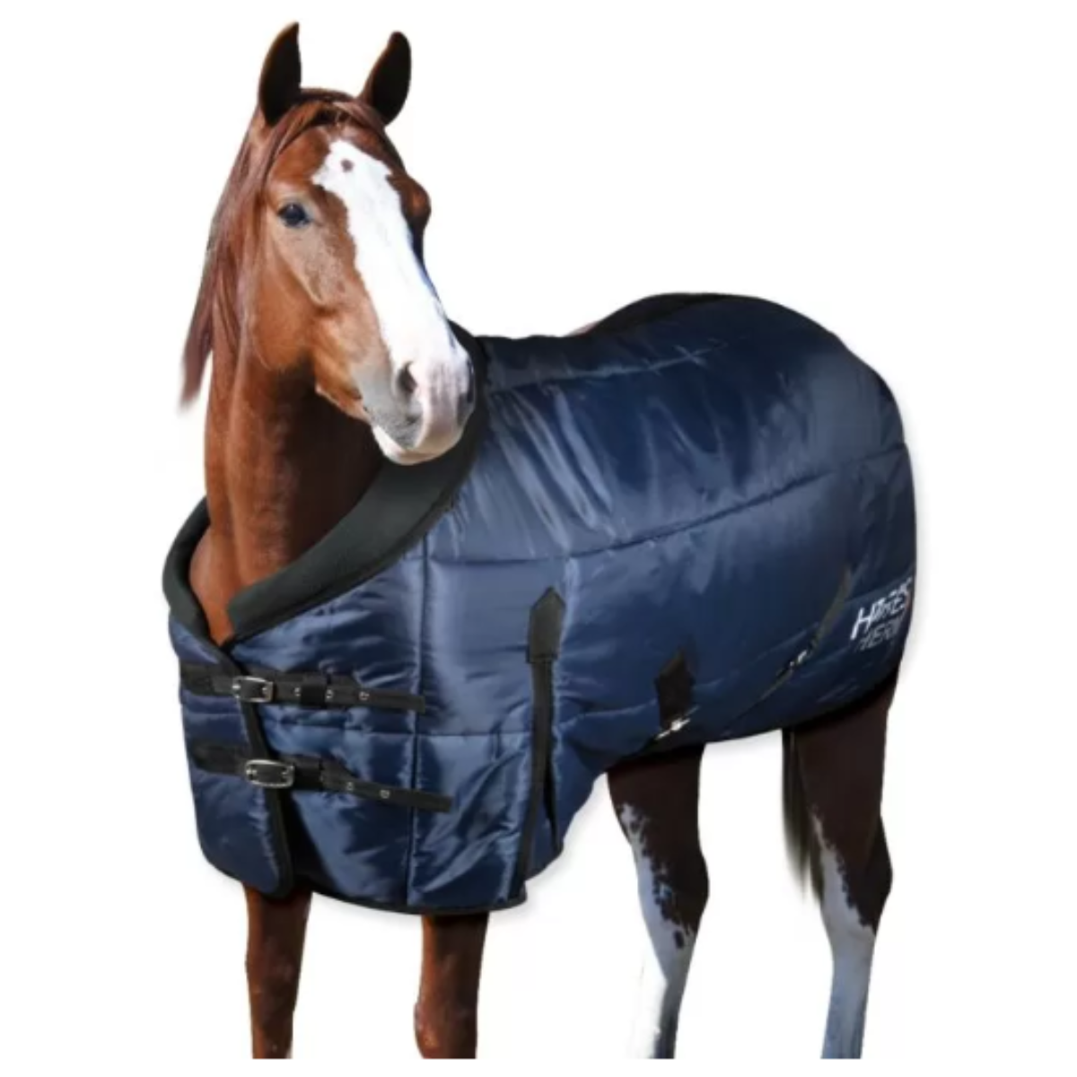Couverture de Box Hiver Horses Thermo 350gr