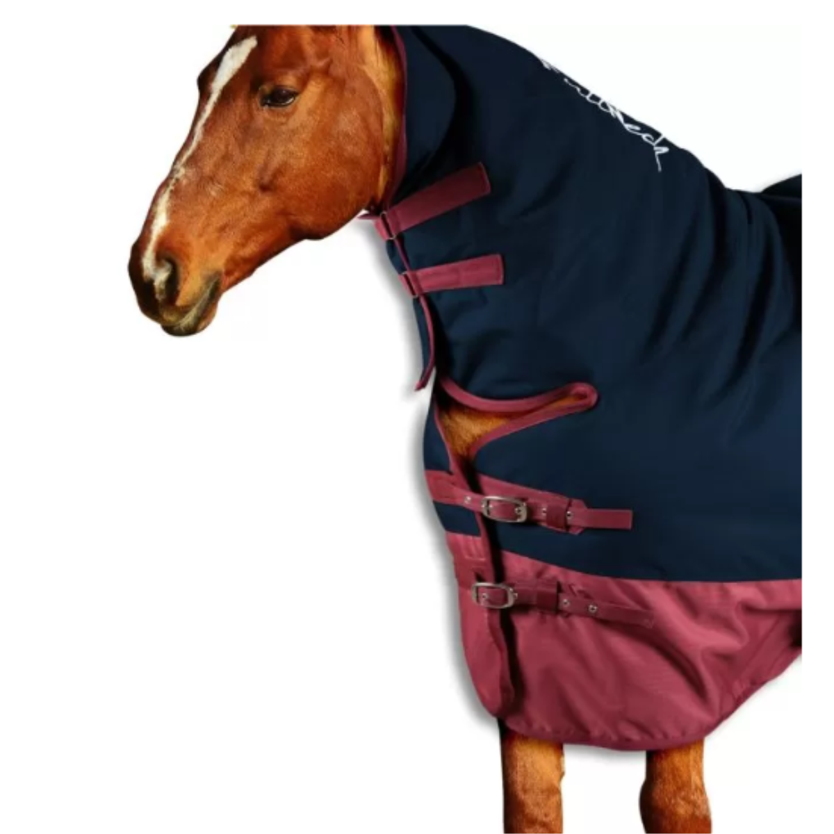 Couverture de Paddock Horses Turnout Full Neck