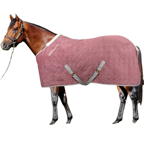 Couverture Box Horses Quazar Velvet 300g