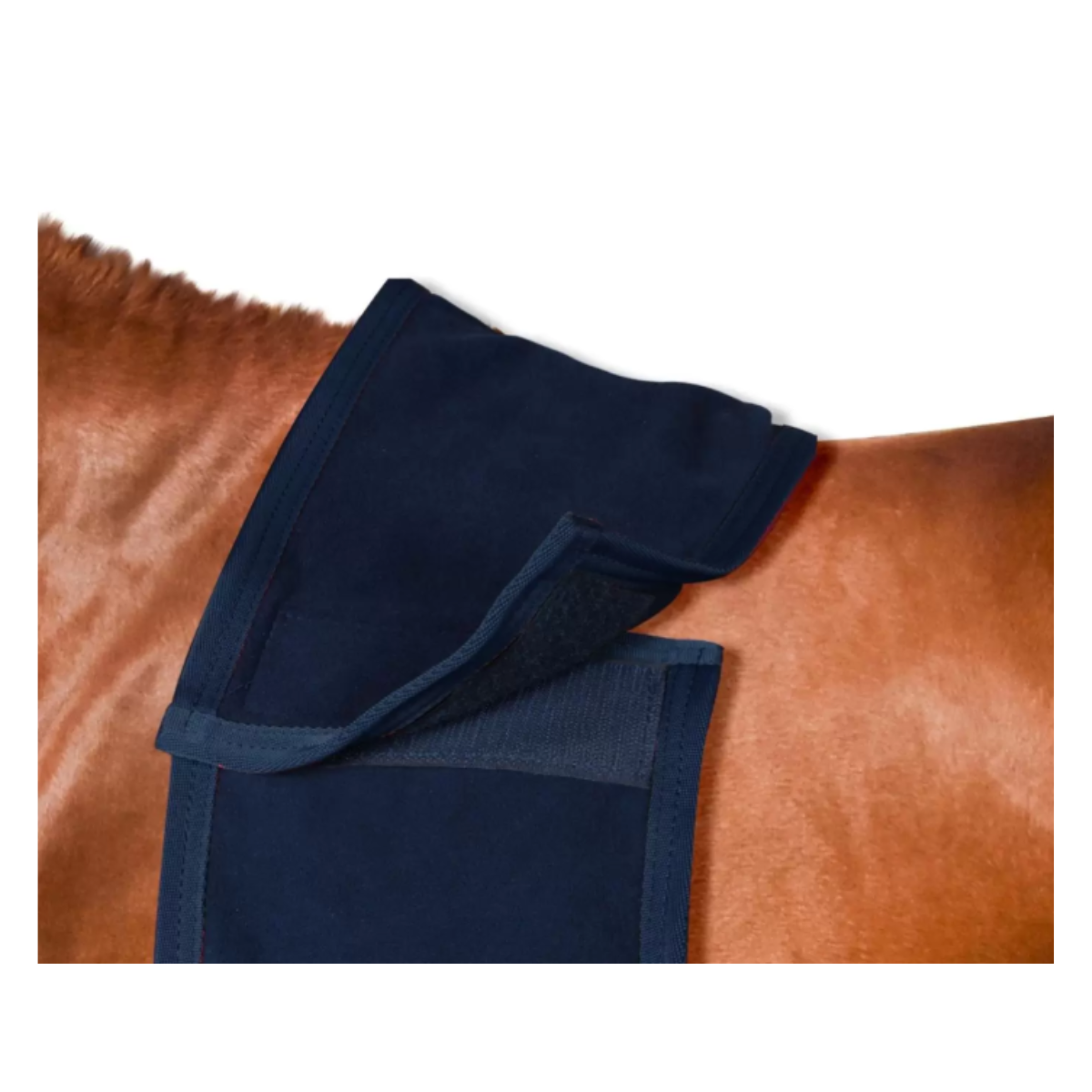 Couvre-reins Horses Crown Stripes