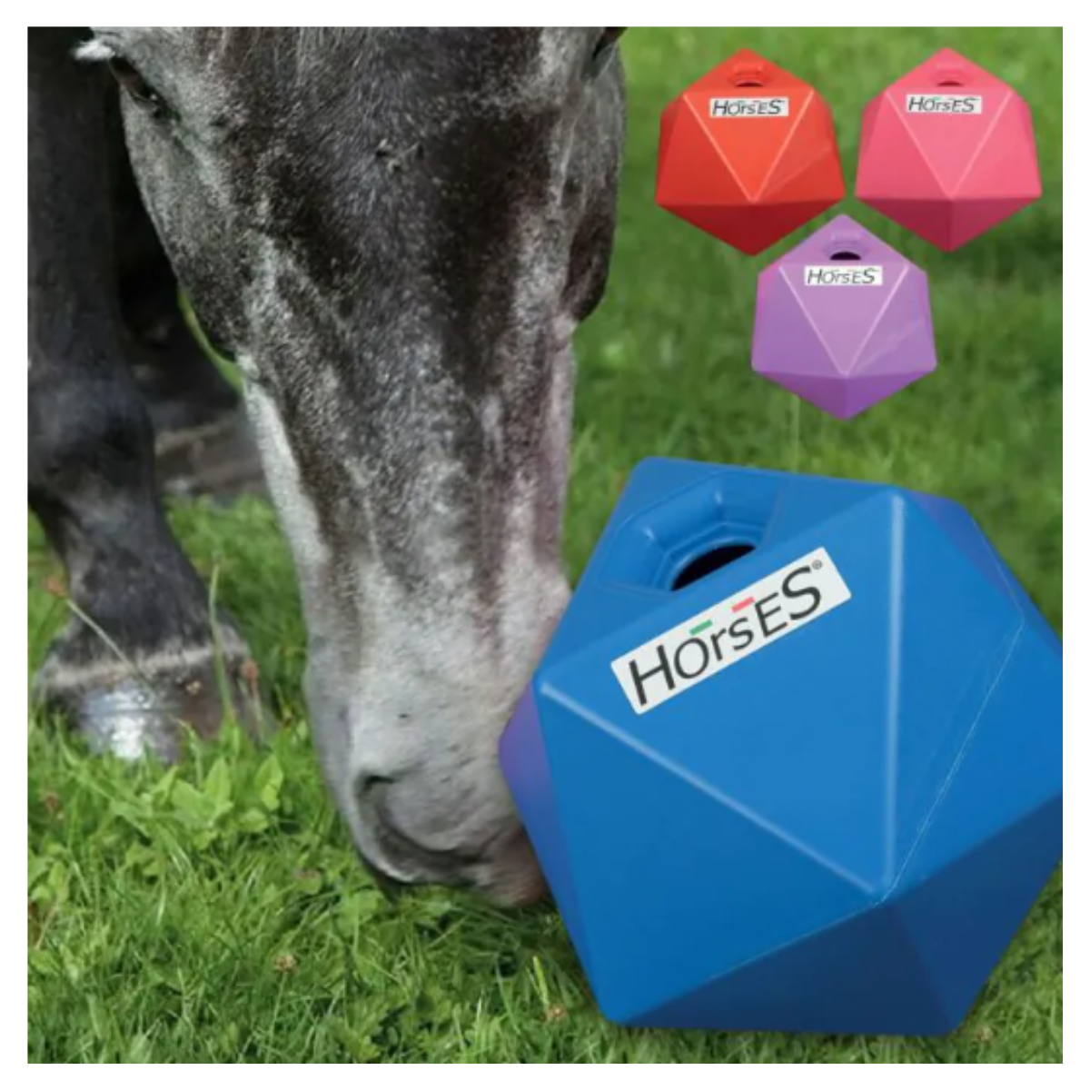 Distributeur Snack Horses Scott