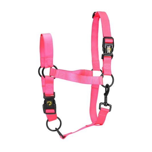 Licol chevaux Essentiels Rose