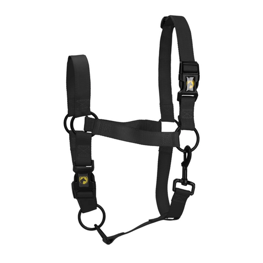 Licol cheval Essentiel Noir