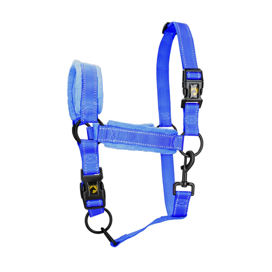 Licol Superieur bleu