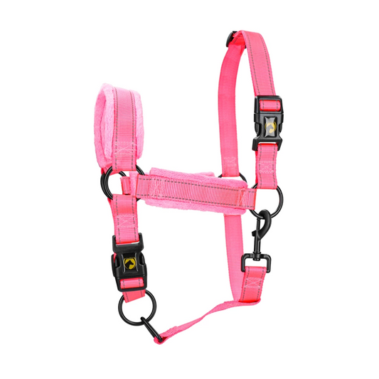 Licol Supérieur rose
