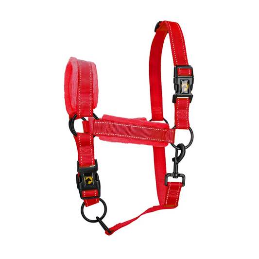 Licol Supérieur rouge