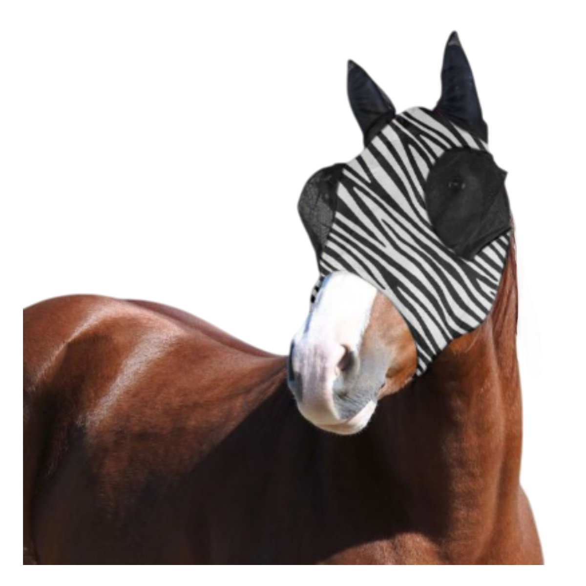 Masque Anti-mouches En Lycra Horses Zebra