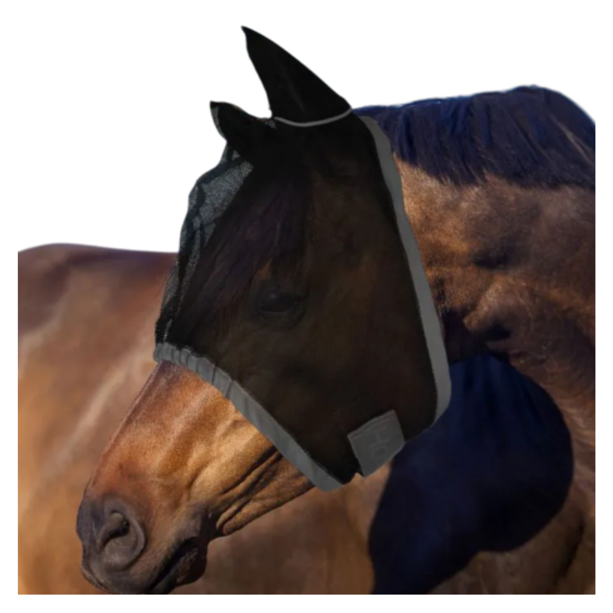 Masque Anti-Mouches Horses Fly Go