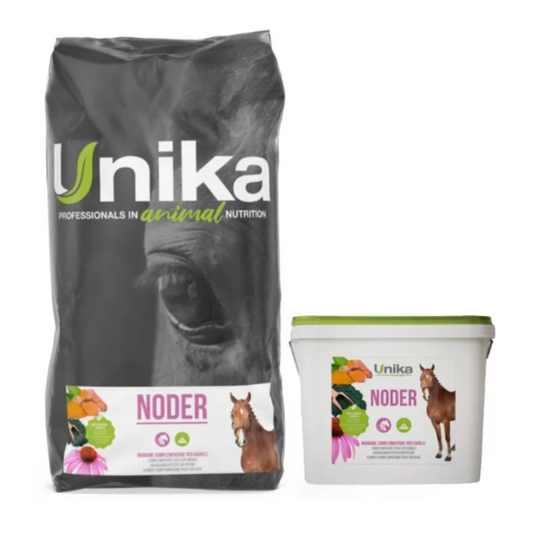 Noder Unika