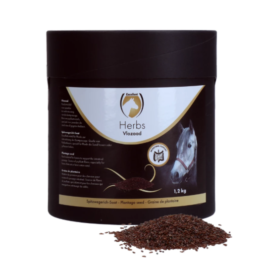 Herbes Plantago Seed - Graines de Plantain (psyllium)