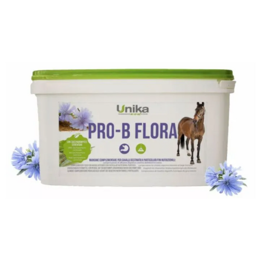 Pro-B San Unika