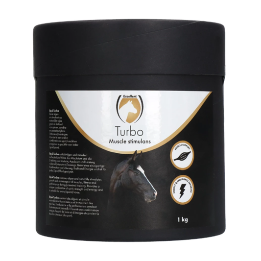 Turbo Chevaux