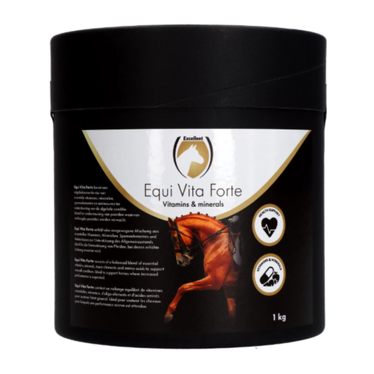 Vita Forte Chevaux